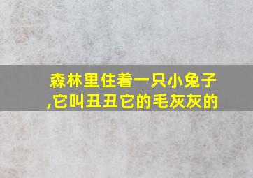 森林里住着一只小兔子,它叫丑丑它的毛灰灰的