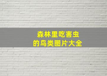 森林里吃害虫的鸟类图片大全