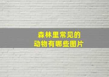 森林里常见的动物有哪些图片