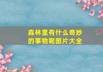 森林里有什么奇妙的事物呢图片大全