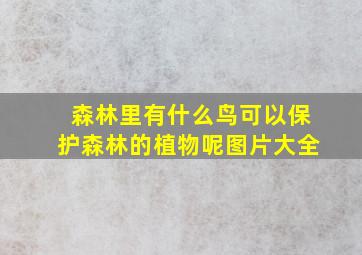 森林里有什么鸟可以保护森林的植物呢图片大全