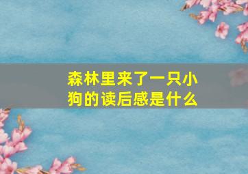 森林里来了一只小狗的读后感是什么