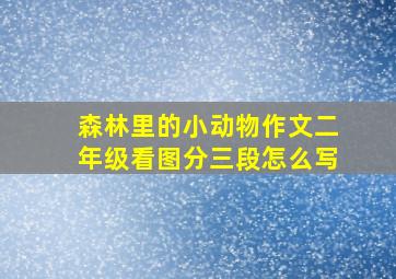 森林里的小动物作文二年级看图分三段怎么写