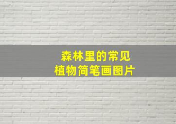 森林里的常见植物简笔画图片