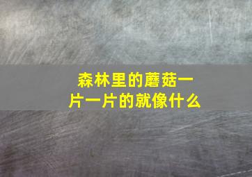 森林里的蘑菇一片一片的就像什么