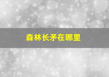 森林长矛在哪里