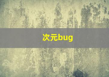 次元bug