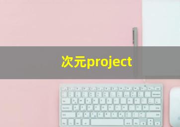 次元project