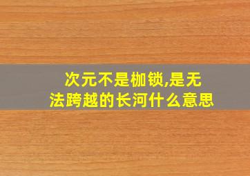 次元不是枷锁,是无法跨越的长河什么意思