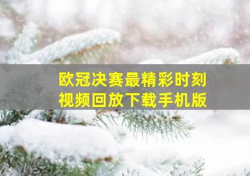 欧冠决赛最精彩时刻视频回放下载手机版