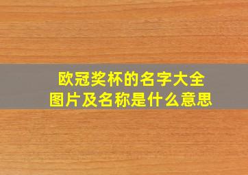 欧冠奖杯的名字大全图片及名称是什么意思