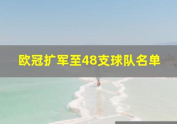 欧冠扩军至48支球队名单