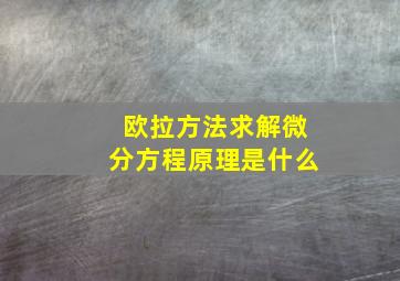 欧拉方法求解微分方程原理是什么