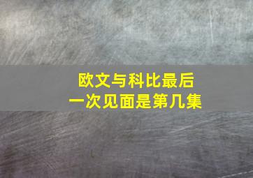 欧文与科比最后一次见面是第几集