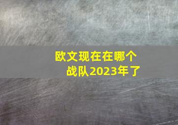 欧文现在在哪个战队2023年了