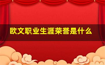 欧文职业生涯荣誉是什么