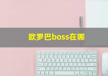 欧罗巴boss在哪