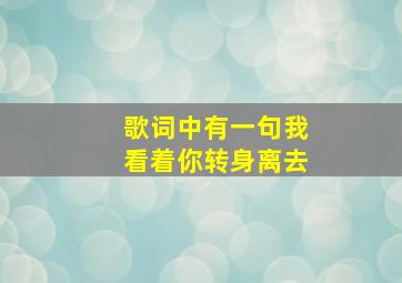 歌词中有一句我看着你转身离去