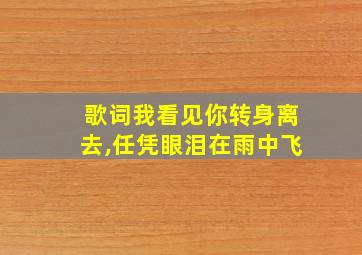 歌词我看见你转身离去,任凭眼泪在雨中飞