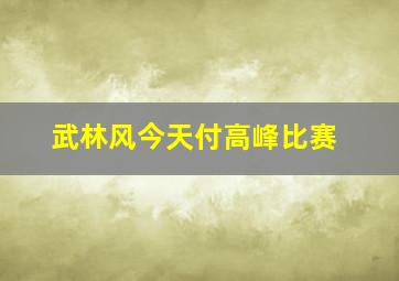 武林风今天付高峰比赛