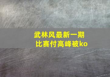 武林风最新一期比赛付高峰被ko