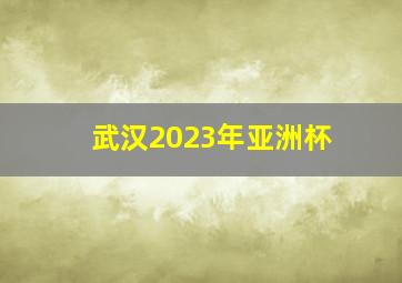 武汉2023年亚洲杯