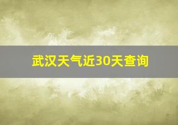 武汉天气近30天查询