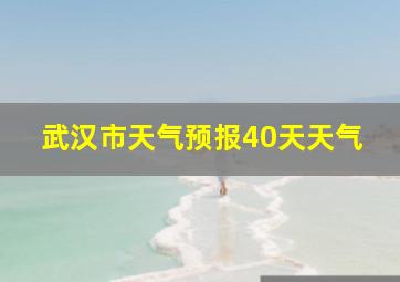 武汉市天气预报40天天气