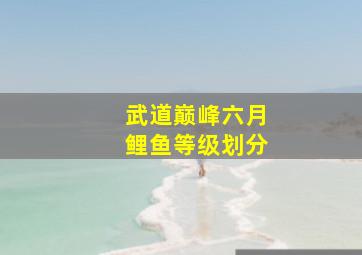 武道巅峰六月鲤鱼等级划分