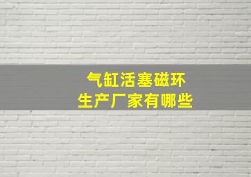 气缸活塞磁环生产厂家有哪些