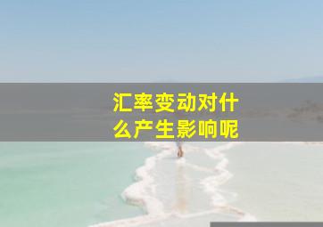 汇率变动对什么产生影响呢