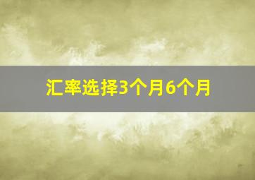 汇率选择3个月6个月