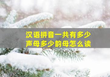 汉语拼音一共有多少声母多少韵母怎么读