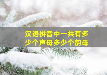 汉语拼音中一共有多少个声母多少个韵母