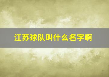 江苏球队叫什么名字啊