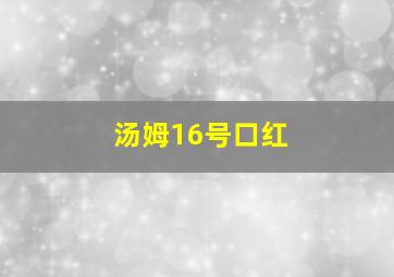 汤姆16号口红