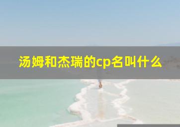 汤姆和杰瑞的cp名叫什么