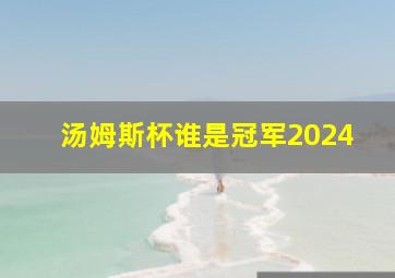 汤姆斯杯谁是冠军2024