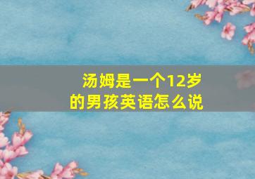 汤姆是一个12岁的男孩英语怎么说