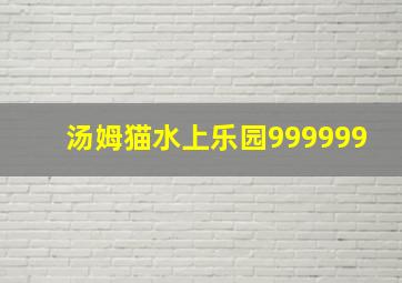 汤姆猫水上乐园999999