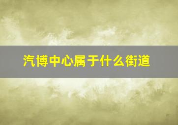 汽博中心属于什么街道