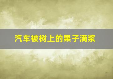 汽车被树上的果子滴浆