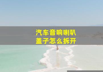 汽车音响喇叭盖子怎么拆开