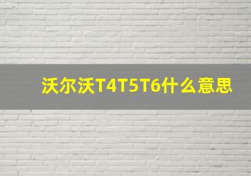 沃尔沃T4T5T6什么意思