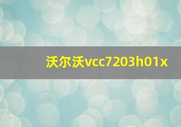 沃尔沃vcc7203h01x