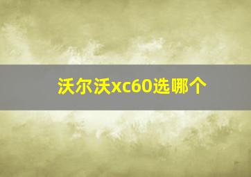 沃尔沃xc60选哪个