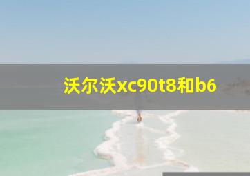 沃尔沃xc90t8和b6