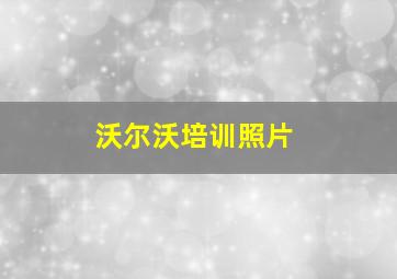 沃尔沃培训照片