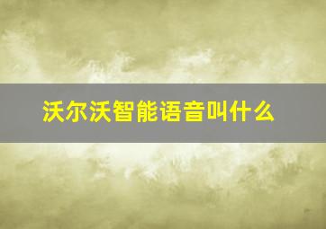 沃尔沃智能语音叫什么