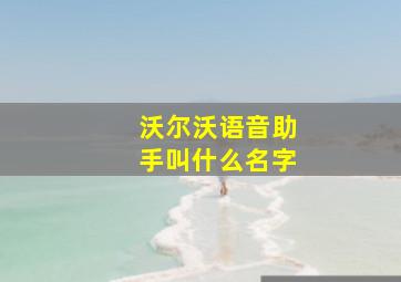 沃尔沃语音助手叫什么名字